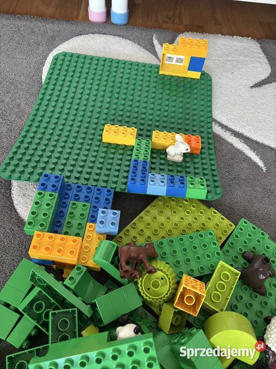 LEGO Duplo wielki zestaw z płytką konstrukcyjną Katowice