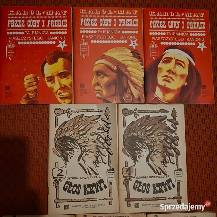 literatura młodzieżowa Bukowno