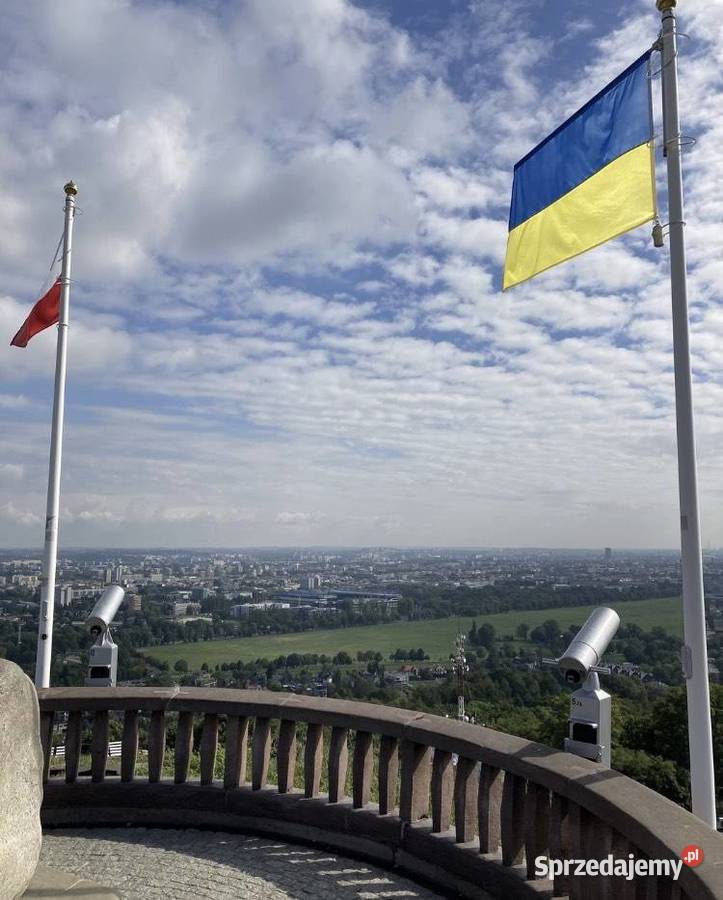 Luneta widowiskowa 5 pln Przebieczany