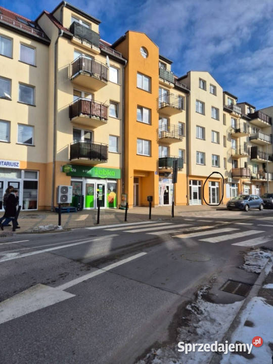 lokal handlowousługowy do wynajęcia 55m2 Wynajem
