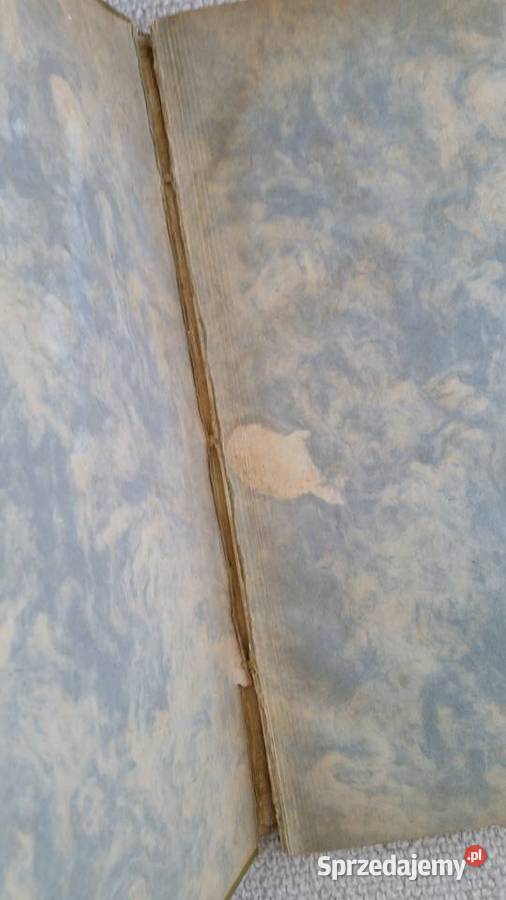 Album Henryk Siemiradzki Stanisław Lewandowski lubelskie Puławy