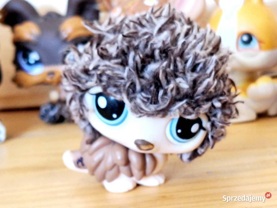 Jeżeli puchaty Littlest Pet Shop Dla Dziecka warmińsko-mazurskie Braniewo sprzedam