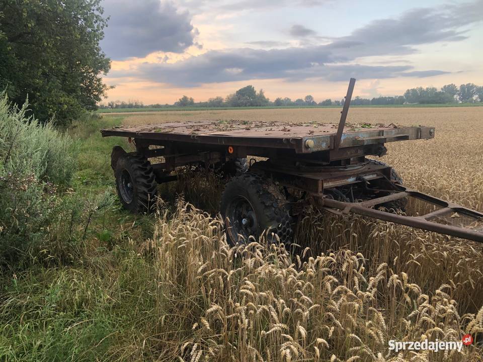 Przyczepa Brandys kujawsko-pomorskie Koneck sprzedam