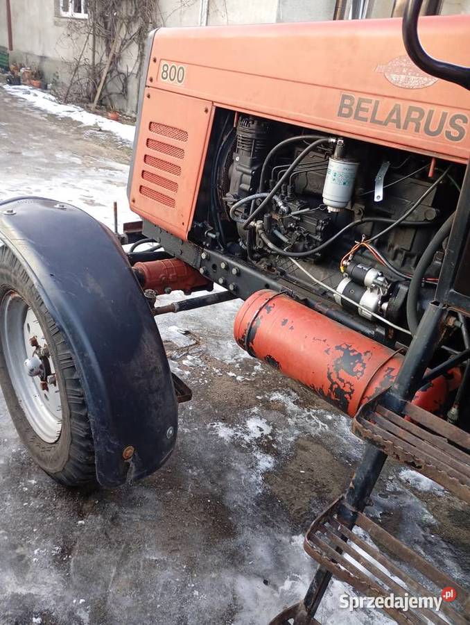 belarus 800 mtz wielkopolskie Piecewo