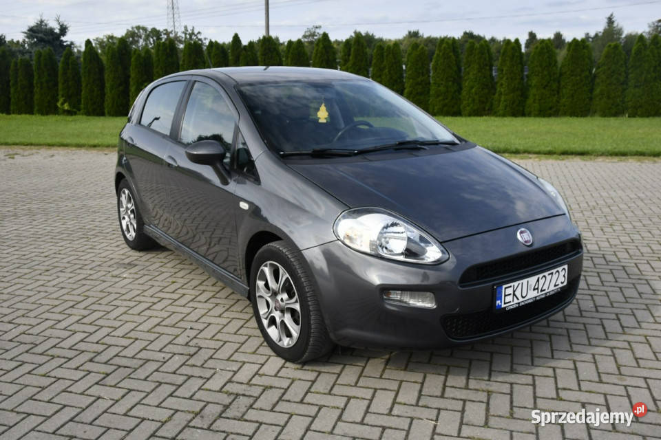 Fiat Punto Evo 13jtd DUDKI11 Kutno