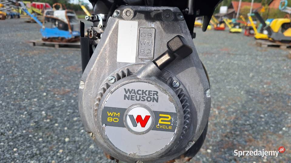 Skoczek Stopa WACKER NEUSON BS 502 plus 11in Rok produkcji 2019 Trzebnica