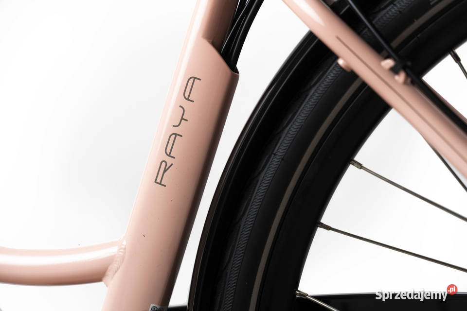 Rower elektryczny NEON Bikes Raya ACTIVE ZONE świętokrzyskie Ostrowiec Świętokrzyski