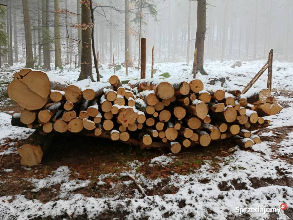 Drewno opałowe twarde buk brzoza Kłodzko sprzedam