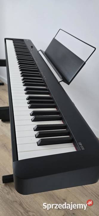 CASIO CDPS110 mazowieckie Sochaczew sprzedam