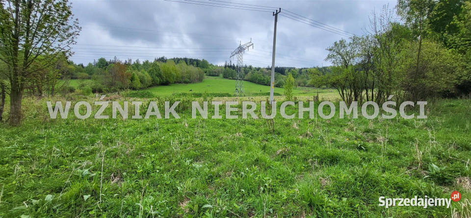 Grunt na sprzedaż 4100m2 Rzeczka dolnośląskie