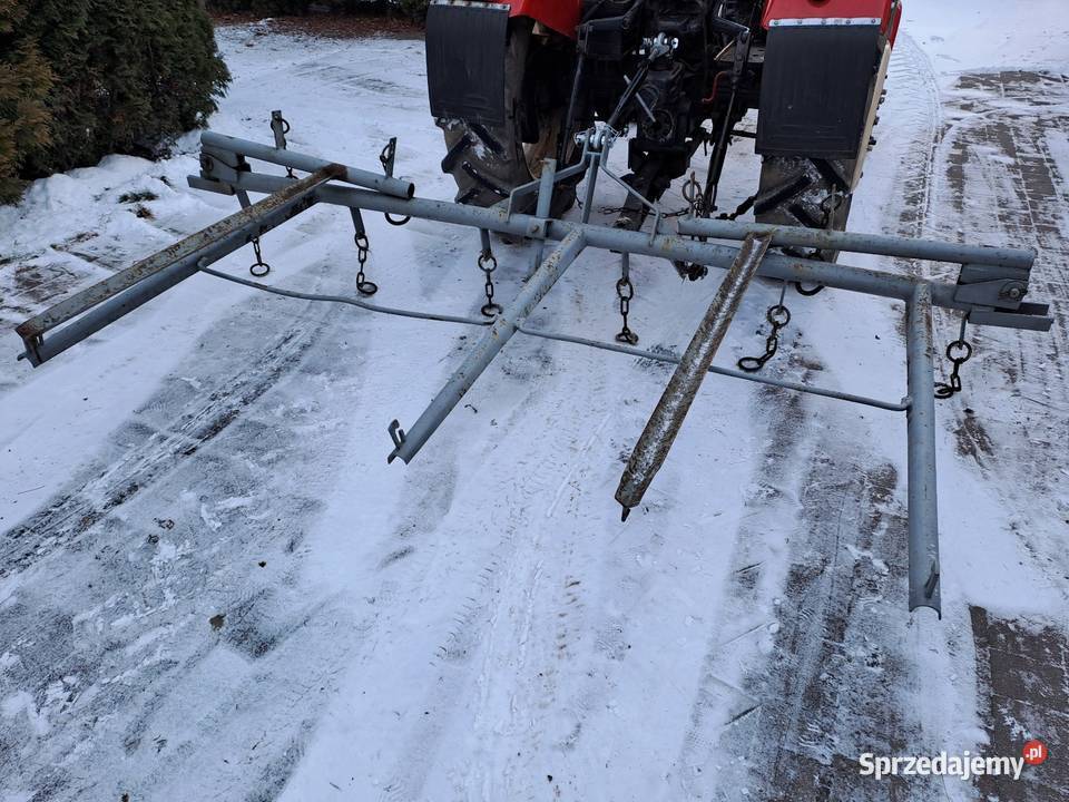 Brony polowe piątki Brony