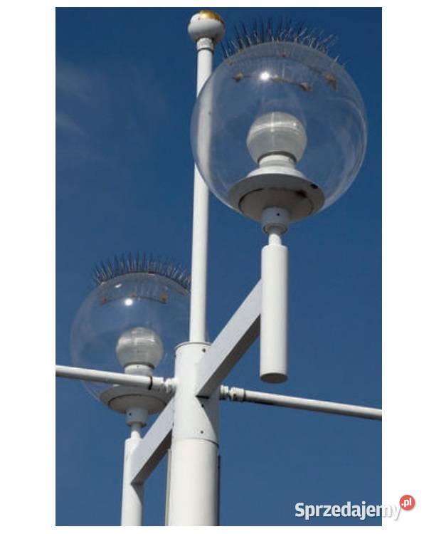 10m zestaw kolcówklejrękawice kolce na GOŁĘBIE Częstochowa