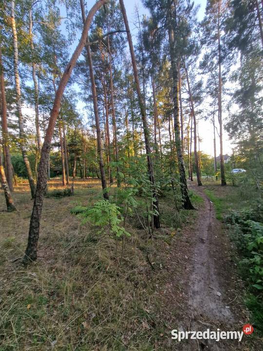 Działka budowlana Piotrków Tryb Wojska Polskiego Piotrków Trybunalski