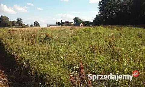 sprzedaży gruntu Motycz 2800m2