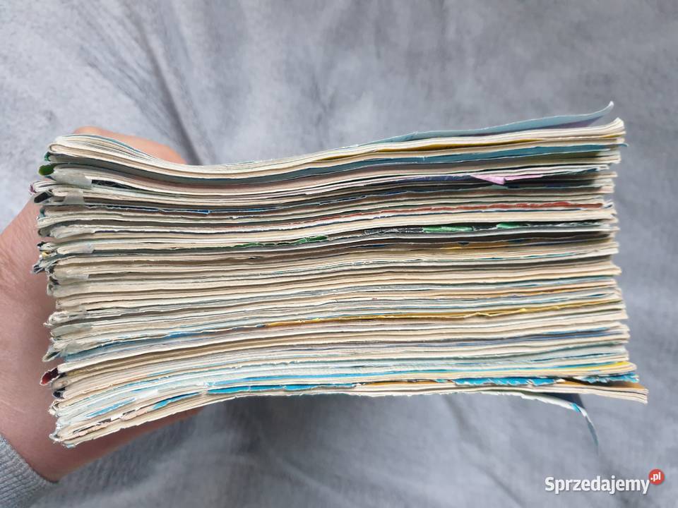 Kaczor Donald zestaw Gdynia