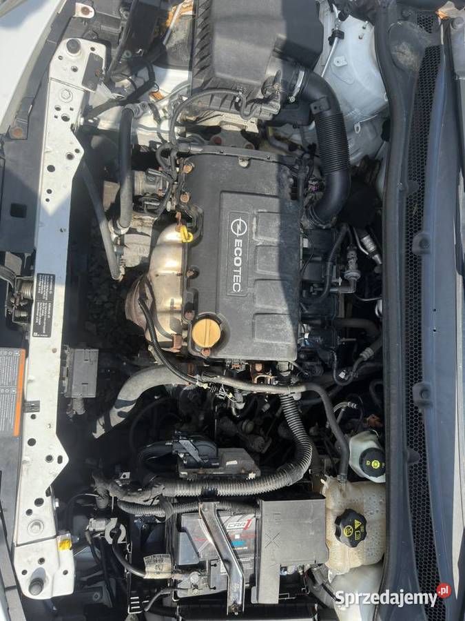 Opel Astra J 14 100 2010 Benzyna Bezwypadkowy manualna podkarpackie Jasło