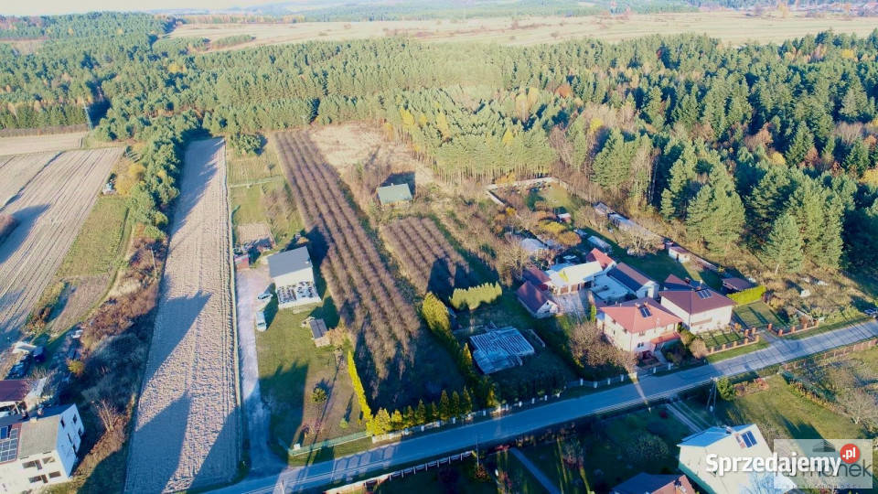 Działka 1289m2 Samsonówka Nieruchomości lubelskie