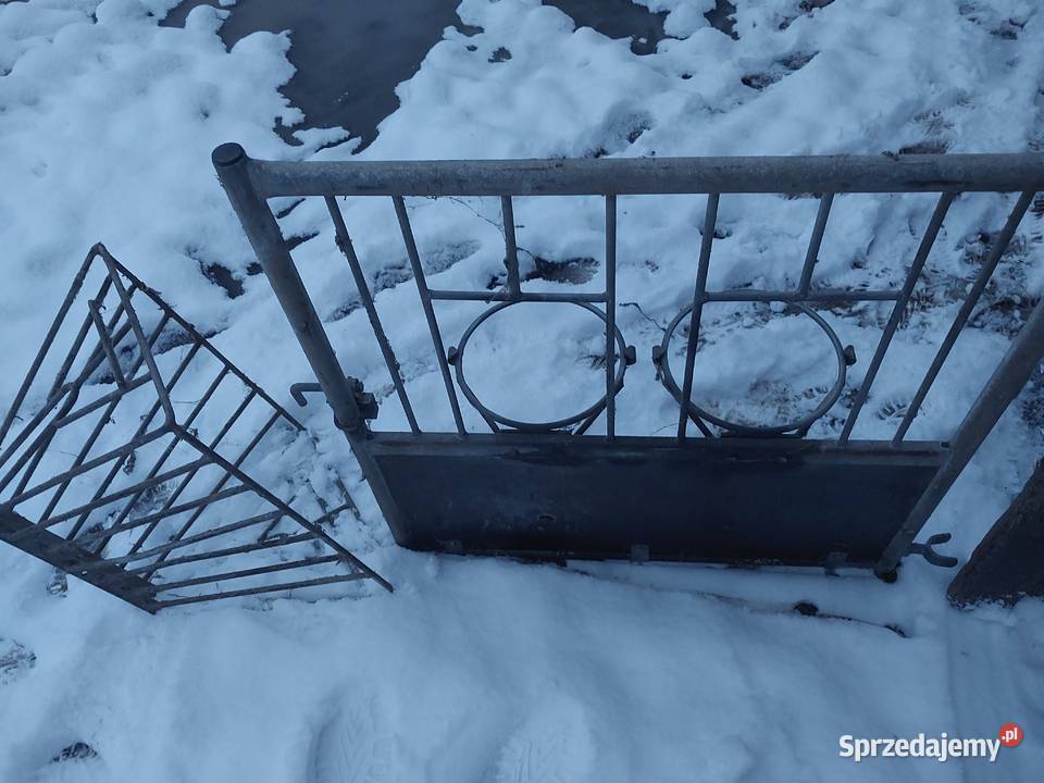 SPRZEDAM przody wygrody cieląt Kolno
