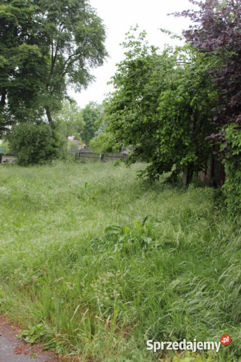 Sprzedam działkę budowlaną z dojazdem asfaltowym budowlana Żeliszów