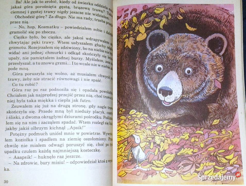 Kosmatek ze starej wierzby Hanna Zdzitowiecka Chełm sprzedam