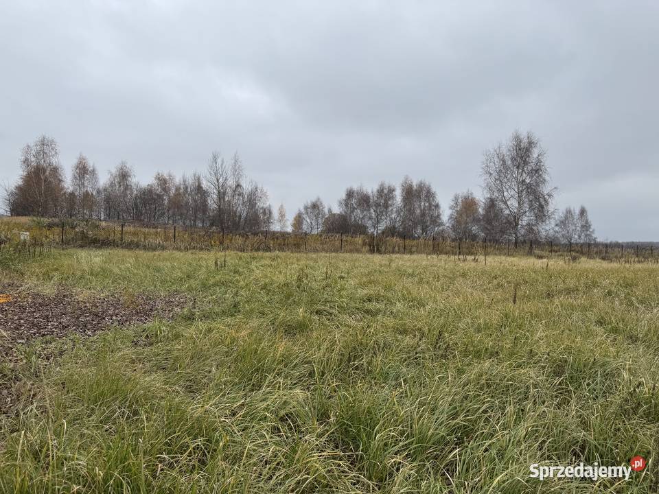 Działka 106 arów o wymiarach 144x73 m pod małopolskie Zelków