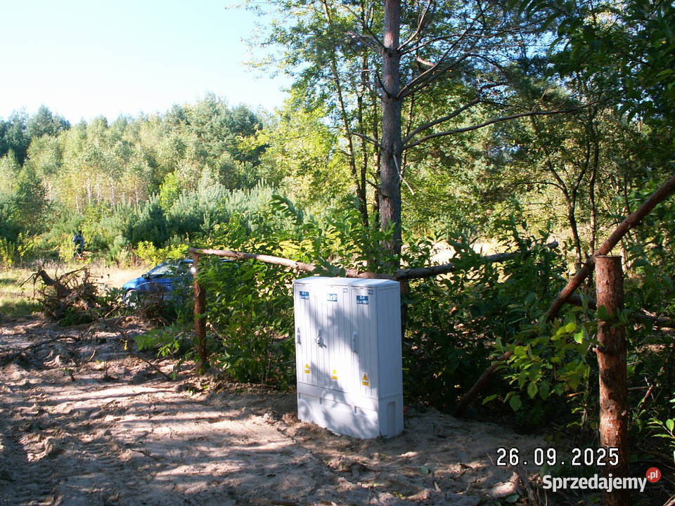 DZIAŁKI Roztocze Czarny Las Kolonia Sprzedaż Czarny Las-Kolonia