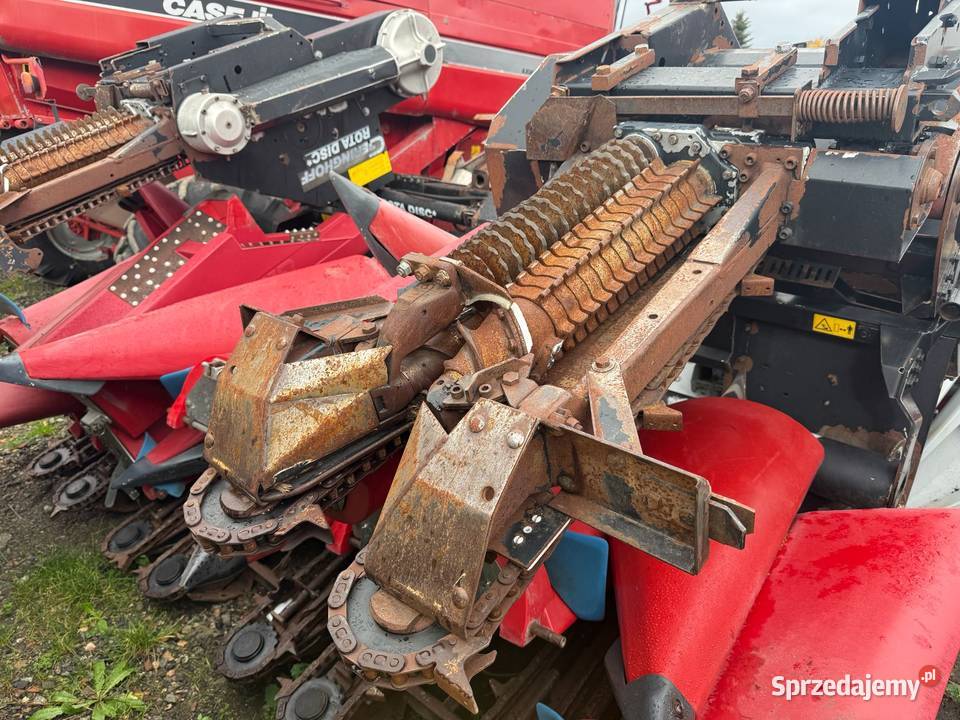 Przystawka do kukurydzy Gringhoff 6 rzędowa nieuszkodzony Nowa Ruda