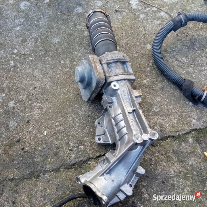 Opel Astra H 17 CDTI kolektor dolotowy inne Szczecin