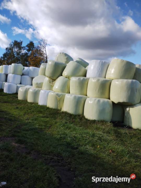 sprzedam sianokiszonke Złotno