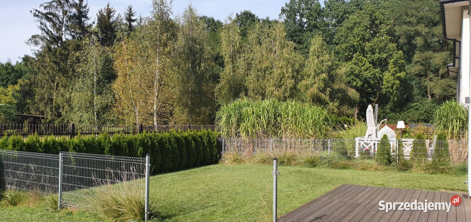 Wynajmę dom z ogrodem i furtką do lasu