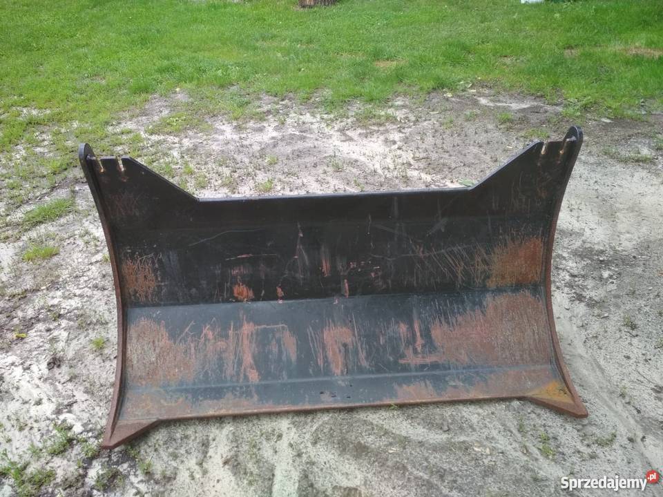 Mygłownica Leśnictwo lubelskie Wojszyn