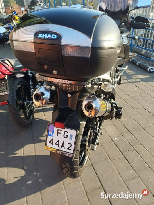 Suzuki DL Suzuki DL 650 zachodniopomorskie Barlinek