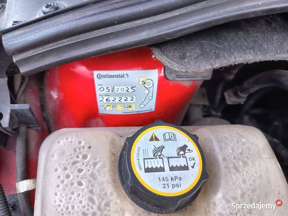 Ford FocuS 2014 16 CDTiHDI Salon Nowy Rozrząd łódzkie Tuszyn