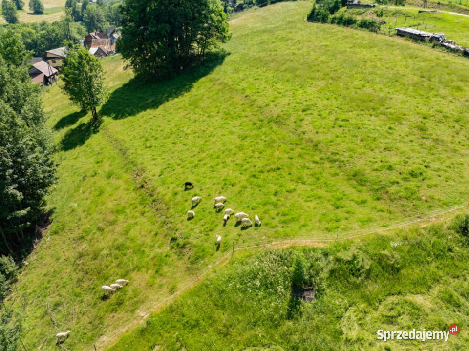Działka rolna w Brzegach jako lokata kapitału Brzegi