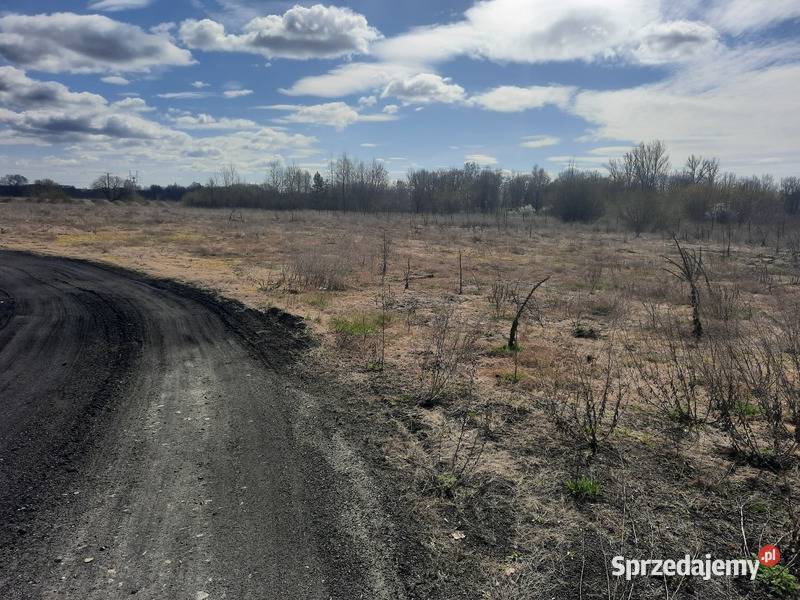Syndyk sprzeda nieruchomość gruntową w Dęblinie