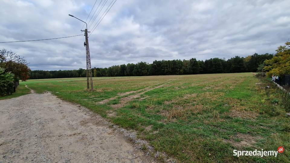 Okazja Działka 1500 m I 43 m I 15 min Łukowa lubelskie Sarnów
