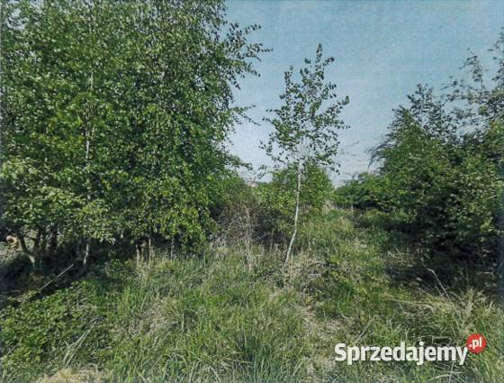 Działka niezabudowana w Sance gmina Krzeszowice Sanka