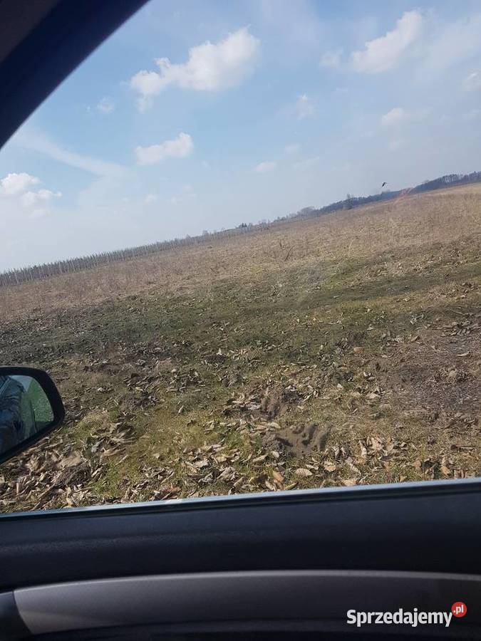 Działka rolna 3ha asfalt Mogielnica