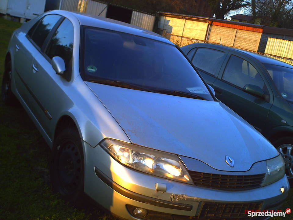 Wiązka drzwi Renault Laguna 2 osobowe wielkopolskie sprzedam