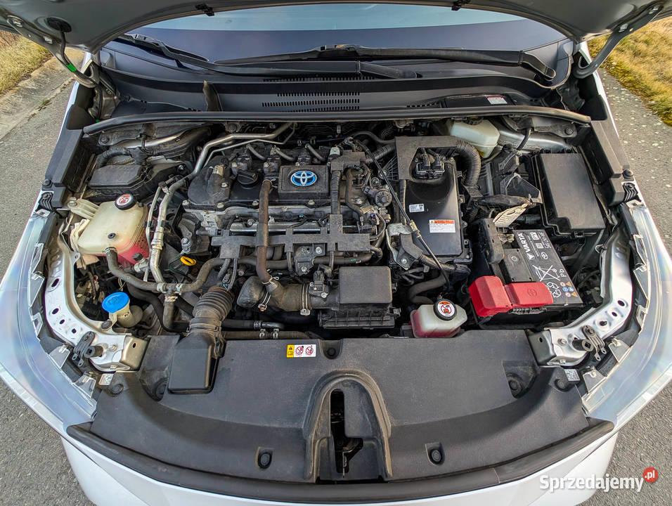 Toyota Corolla 18 TS 18 Hybrid z 2019r