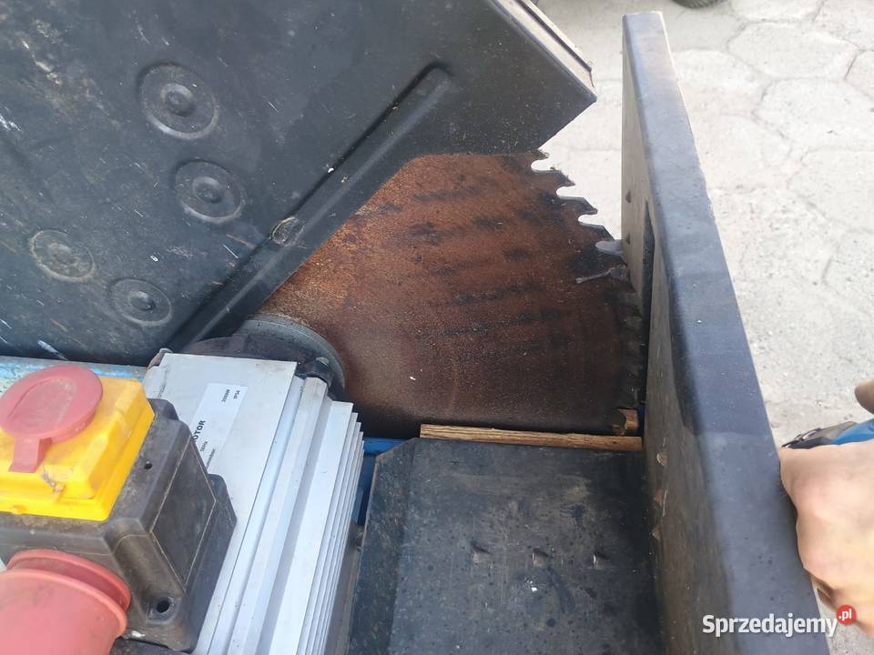 Meec 600 piła wahadłowa do drewna krajzega