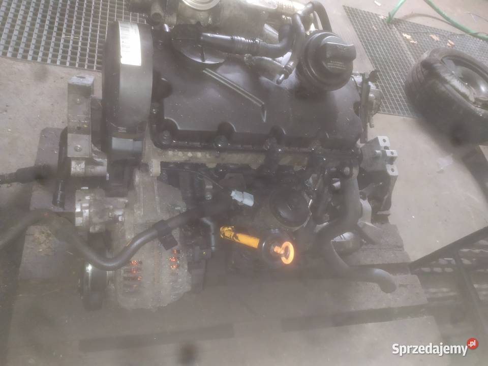 Silnik skrzynia VW Touran I 19TDI 115 BKC Góra sprzedam
