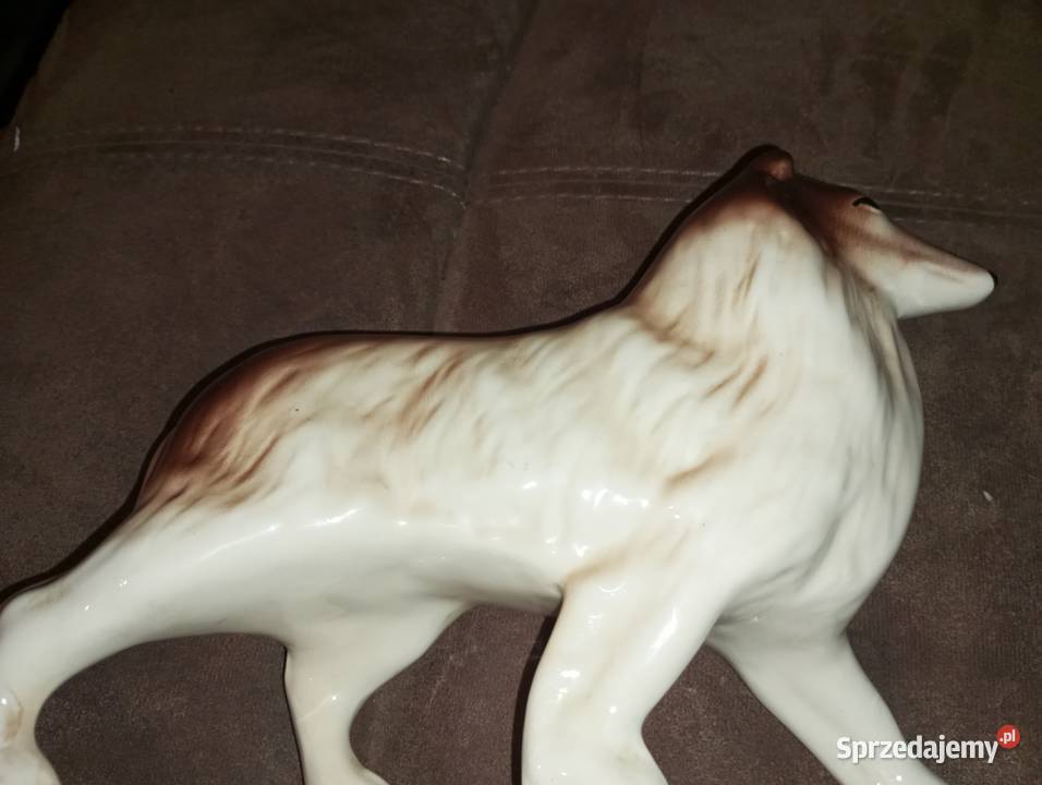 Figurka porcelanowa pies Collie owczarek Szkocki Biłgoraj