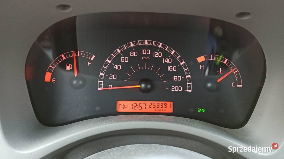 Fiat Panda 11 Benzyna LPG 2006r Rzeszów