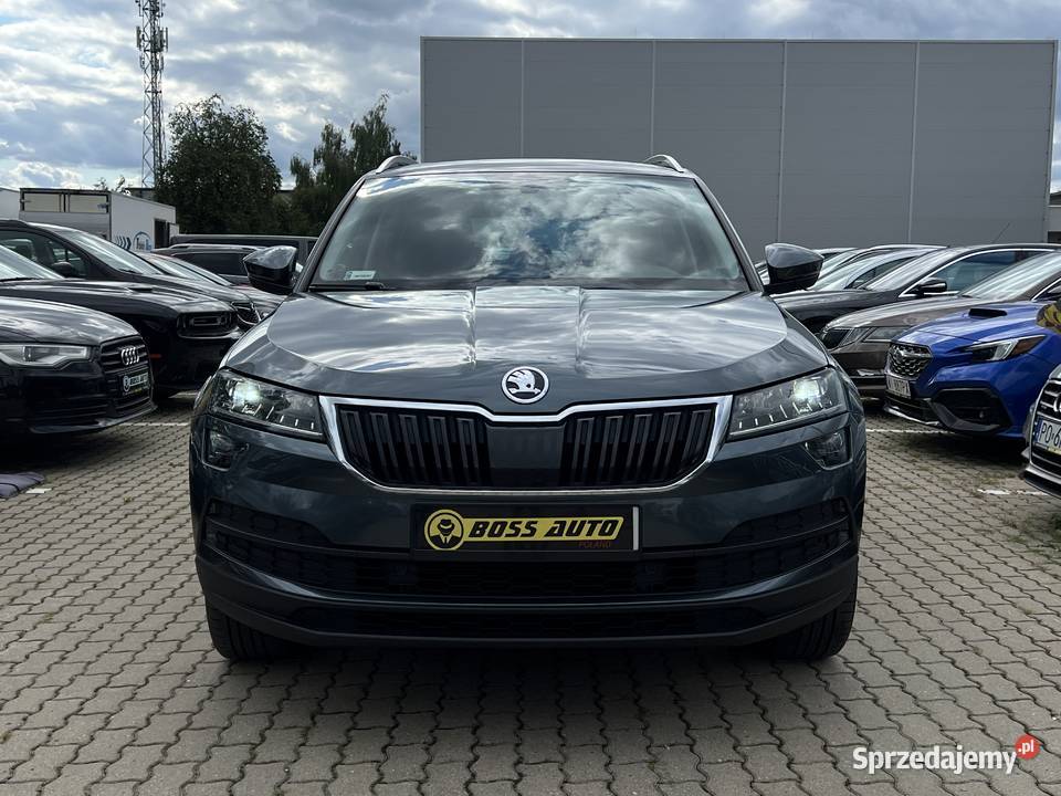 Skoda Karoq 2019 Karoq Warszawa