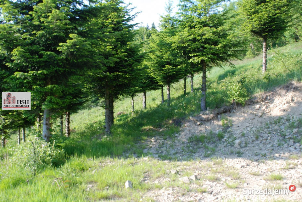 Działka do sprzedania Maków Podhalański 14000m2