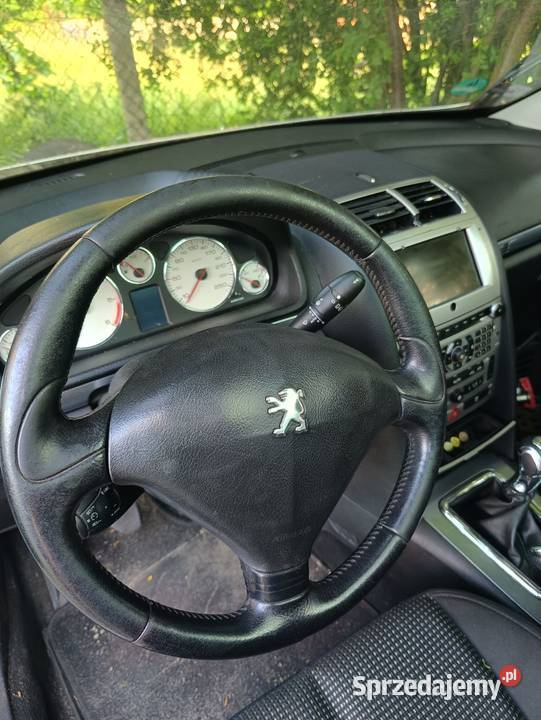 Peugeot 407