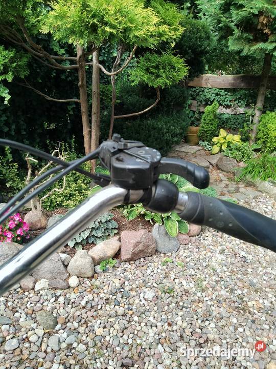 Rower Kettler Alu Rad City Tanowo