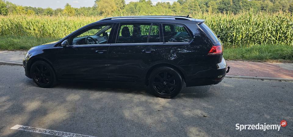 Volkswagen Golf 16 TDI Jastrzębie-Zdrój