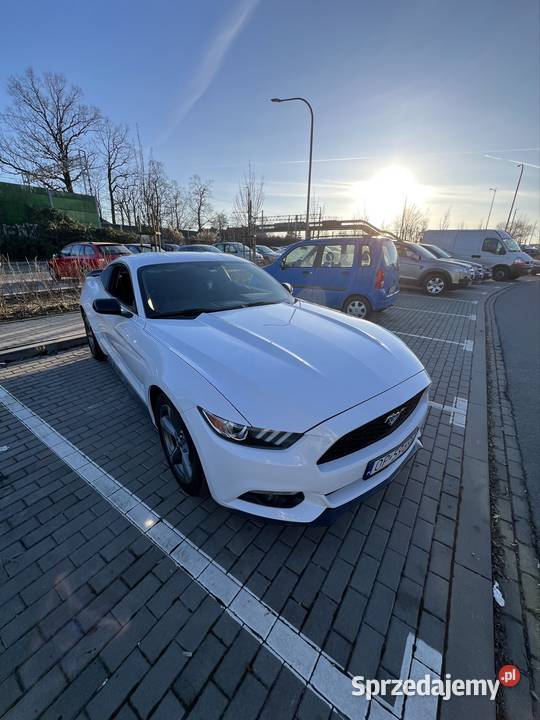 Ford Mustang 37 V6 sprzedam